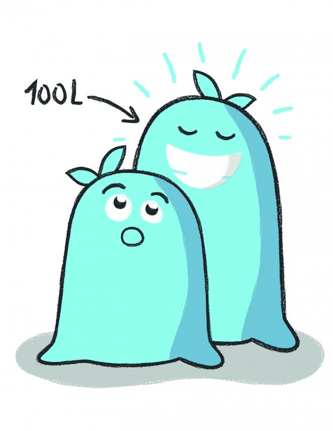 PMD zakken 100L