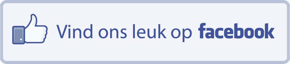  De lokale dienstencentra op Facebook