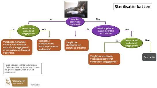 sterilisatie