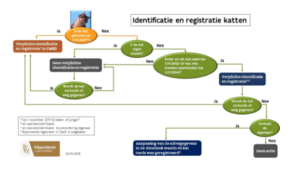 identificatie en registratie