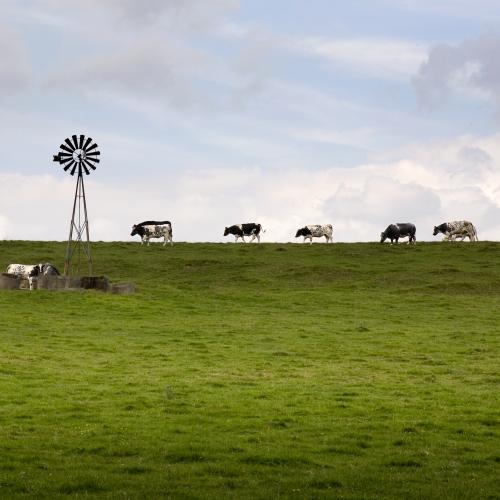 Thuisverkoop landbouwers