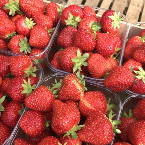 Vlezenbeekse aardbeien