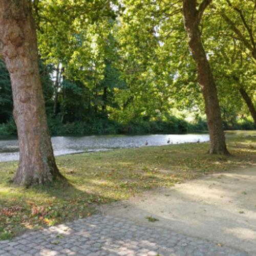 Wandelroute voor de korte benen - 5,5 km © Neossintpietersleeuw