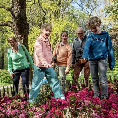 Schatten van vlieg -  Sint-Pieters-Leeuw © Sien Verstraeten