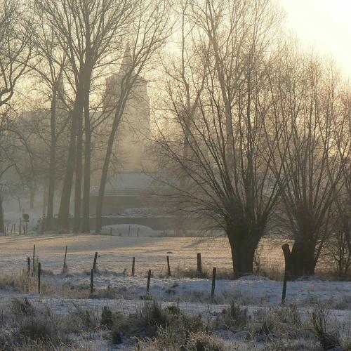 Onze natuur maakt zich klaar voor de winter © Geert Cromphout