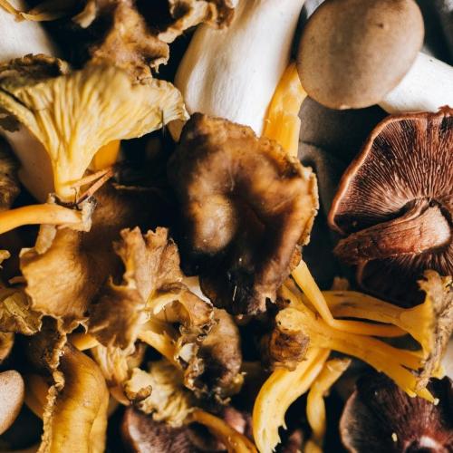 Verrassend koken met champignons en paddenstoelen - kookdemo © Pexels