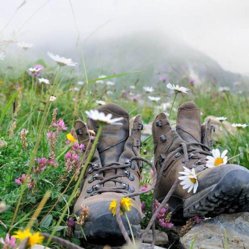 Kruidenwandeling © Shutterstock