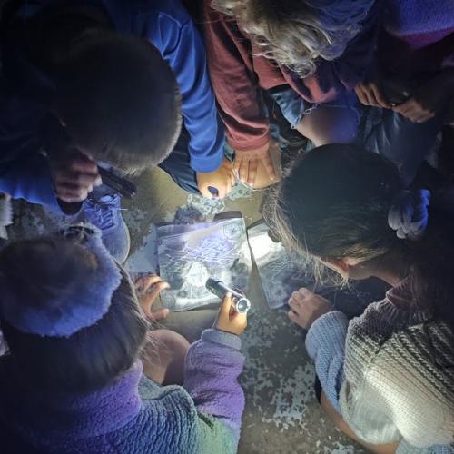 WEERWOLVEN {video/film} © Villa Basta vzw