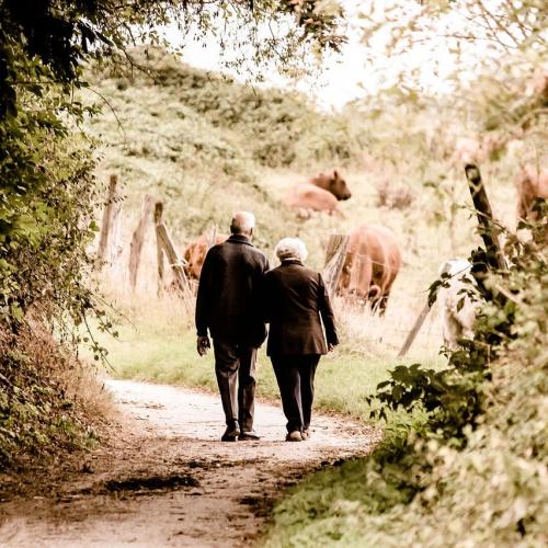 Wandelen langs Pajotse wegen © Pixaby