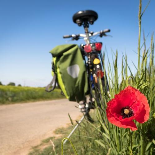 Mooie fietsritten in het Pajottenland. © Pixaby