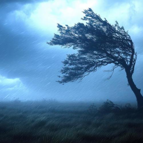 Code geel voor hevige windstoten