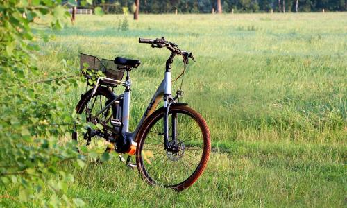 ebike