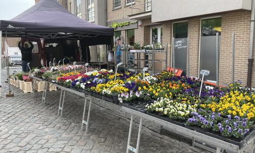 markt