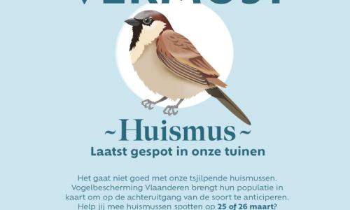 Vermust
