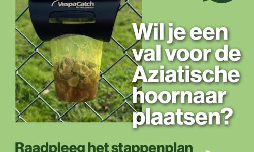 hoornaar val