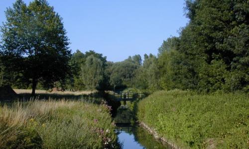 Zuunbeek