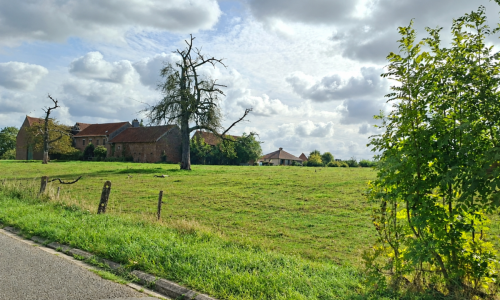 RUP Rinkeling