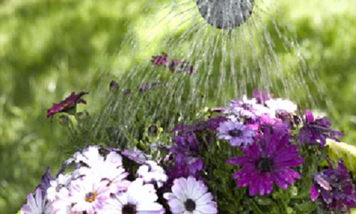 Spring zuinig om met water