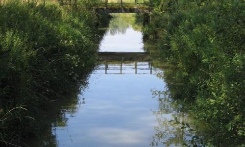 Botulisme in Zuunbeek