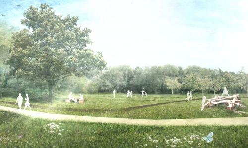 Ruysbroeckveld