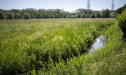 Lotbeek en oude gracht