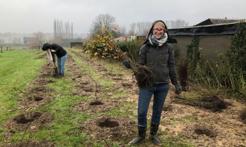 Aanplantactie Damiaanpark