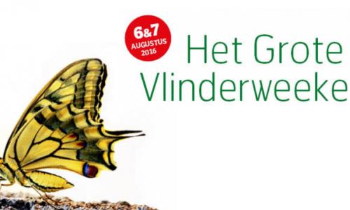 Het Grote Vlinderweekend
