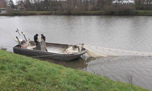 Slibruiming en aanpassing wachtbekkens Zuunbeek