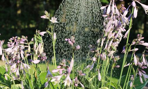 Onttrekkingsverbod onbevaarbare waterlopen en publieke grachten - spring zuinig om met water!