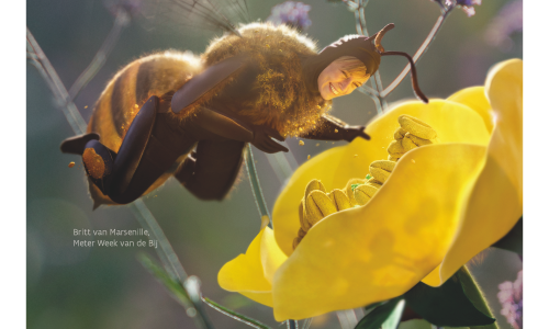 Week van de bij: ontvang je eigen bloemenzaadzakje!
