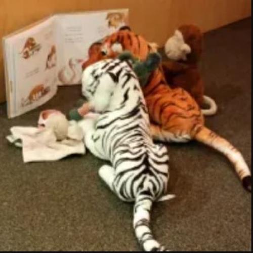 knuffelslaapfeest