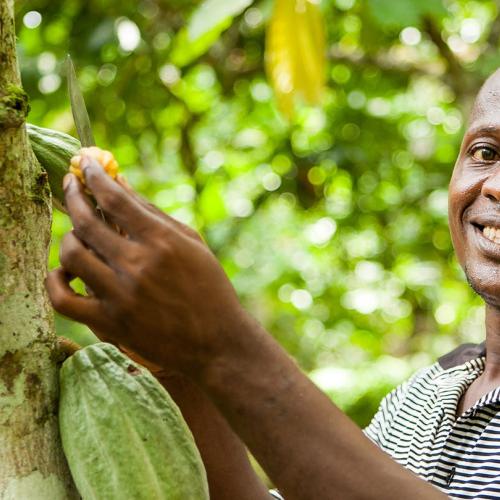 Chocoladeproeverij: een (cacao)boon voor Trias © Trias
