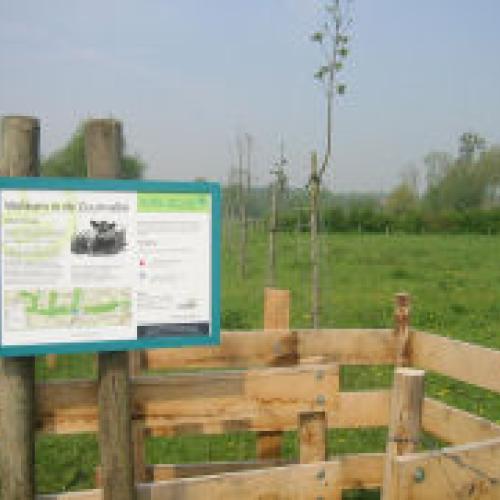 Zuunvallei
