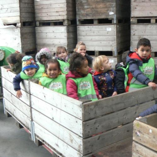 De kleuters van juf Anneke op bezoek in de boomgaard