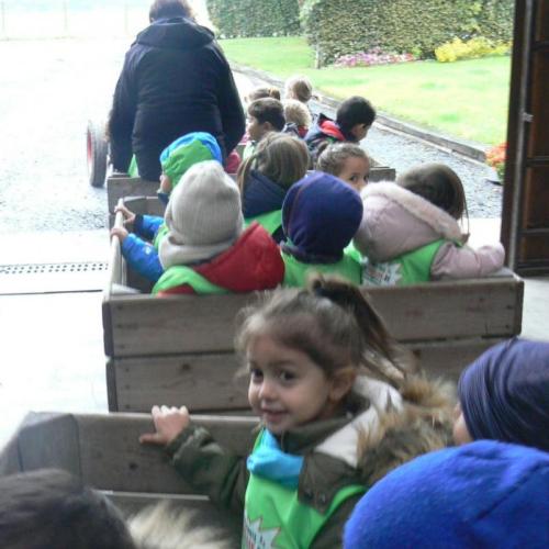 De kleuters van juf Anneke op bezoek in de boomgaard