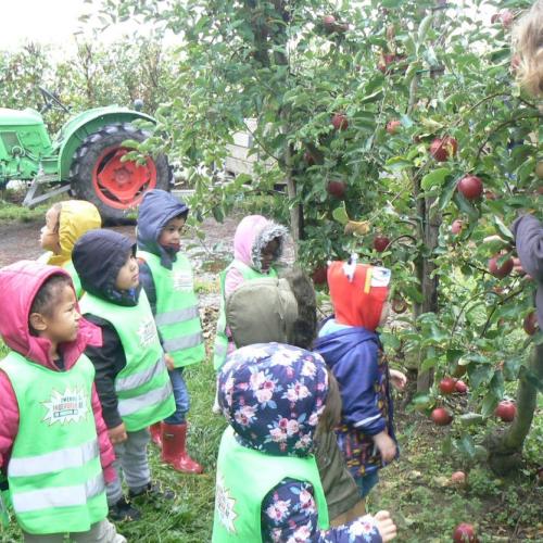 De kleuters van juf Anneke op bezoek in de boomgaard