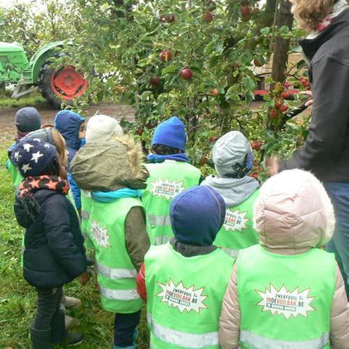 De kleuters van juf Anneke op bezoek in de boomgaard